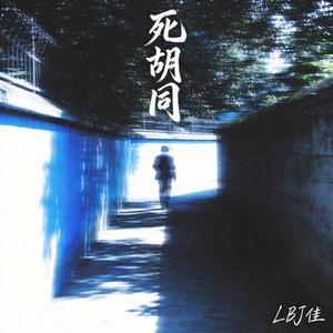 没有为什么