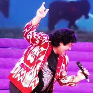 阿娜尔汗-ANarHan