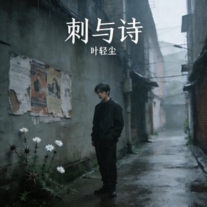 刺与诗