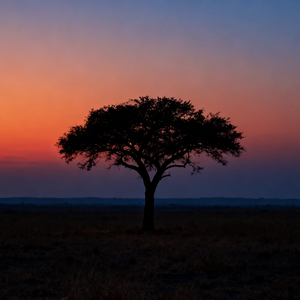 无助（Helpless）