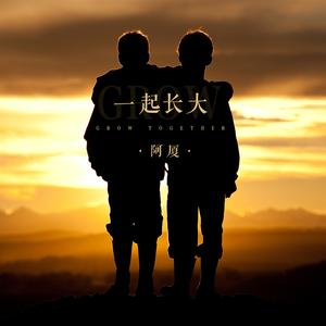 一起长大(DJ王贺)