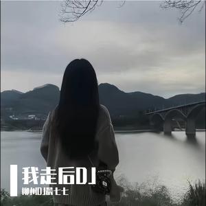 柳州DJ晨七七-我走后DJ （七七专属）