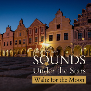 Timeless Midnight Musings