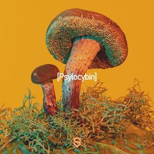 Psylocybin