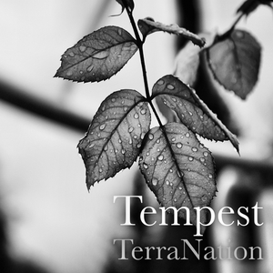 Tempest (Original Mix)