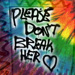 Please Don't Break Her Heart