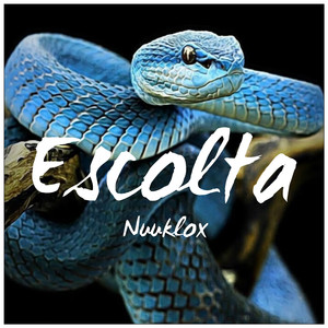 Escolta