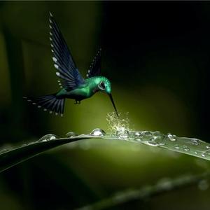 Resplandor (feat. Claudio Solino)