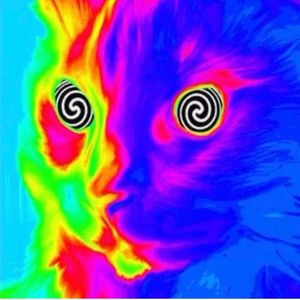 Sucessagem（Original）