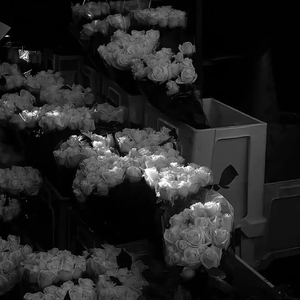 你是我拨不通又永远删不掉的号码