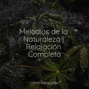 Filosofía
