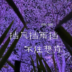 挡风挡雨挡不住想你