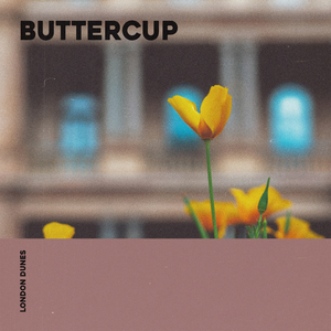 Buttercup