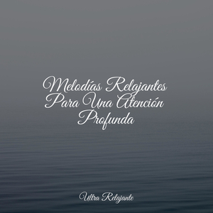 Revolotea en La Brisa
