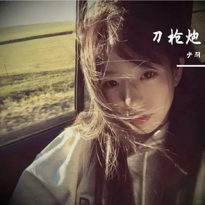 刀枪炮（remix）