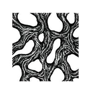 Kunnskapens Triangel - Del 1