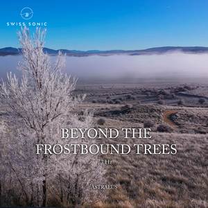 Beyond The Frostbound Trees