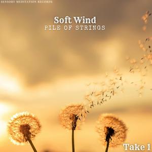 Soft Wind Take 1 (feat. Sensory Meditation, Flame Timo, Jasper Whisper, Nina Nalo & Alma Lin)