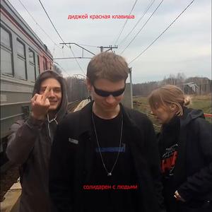 Лес с чёрными лошадями