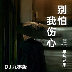 别怕我伤心 (DJ九零版)