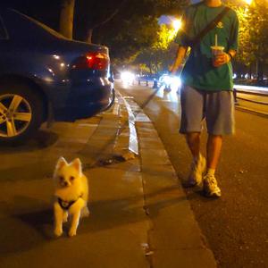 逃离到平行宇宙