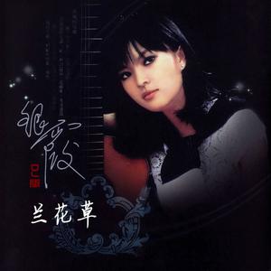 兰花草 (DJ豪大大版伴奏)