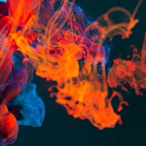 愛々々々燦々々々 (feat. 可不)