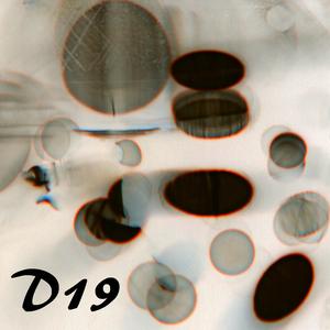D19