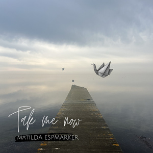 Take me know (Radio Edit)