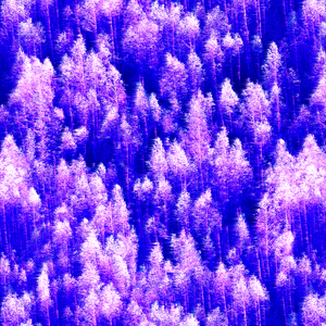 Fecko Boltz-not so bad (Ljyyl & Yazawazi Bootleg)（Yazawazi / Ljyyl remix）