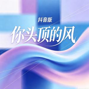 你头顶的风（抖音版）