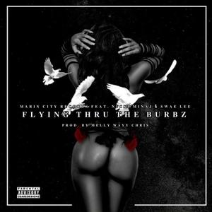 FLYING THRU THE BURBZ