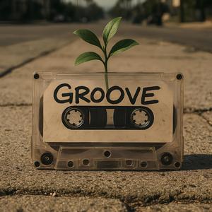 Groove (feat. DeRuff & MediK)