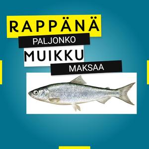 Paljonko muikku maksaa?