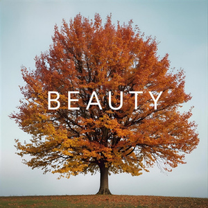 Beauty