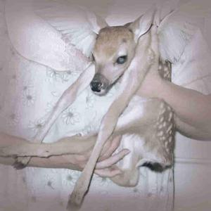 just forget about it (feat. ldlad)