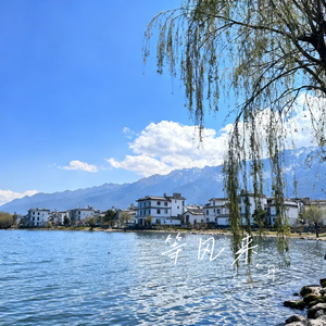 等风来
