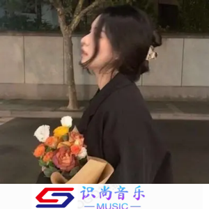 顶级旋律（DJ版）