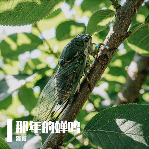 那年的蝉鸣