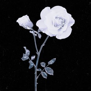 Right Night Feeling （REMIX）