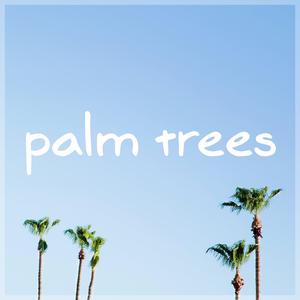 Palm Trees