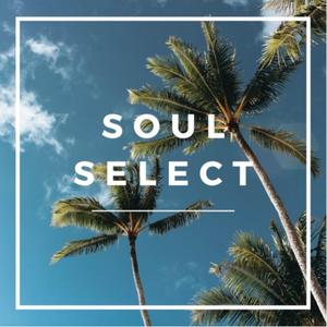 Soul Select