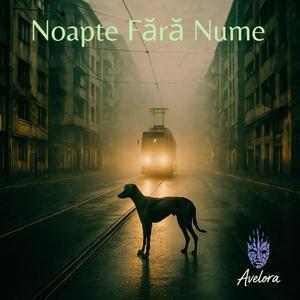 Noapte Fără Nume