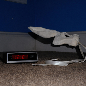 Need sleep! (feat. Niomi & Racecarbed)