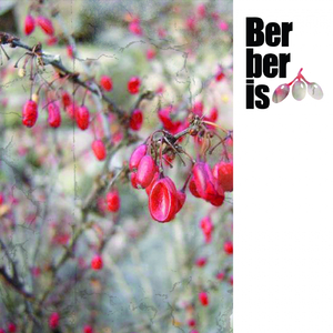 I Can See (Original Mix)