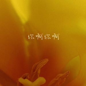 你啊你啊