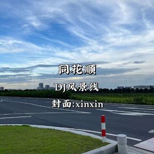同花顺（DJ风景线 remix）