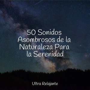 La Repetición Más Suave