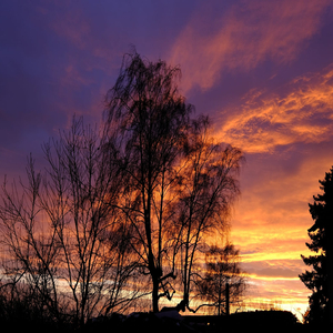 The Story Is Not Over