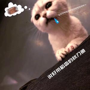 说 好 带 稻 香 的 秋 刀 鱼.（已售）